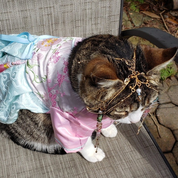 SOLD!! But Commission Me to Make You One!!! - Picture 8 of 17